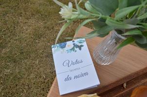 Plantas: imagem 13 de 15